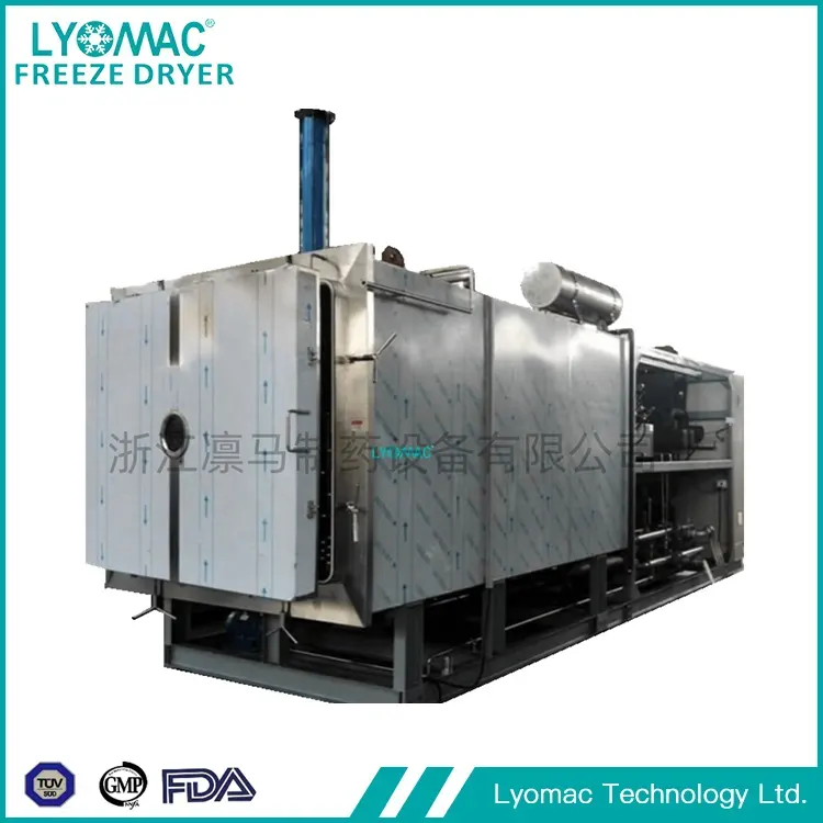 Từ phòng thí nghiệm đến khi ra mắt: Máy sấy đông lạnh thí điểm của Lyomac đơn giản hóa khả năng mở rộng