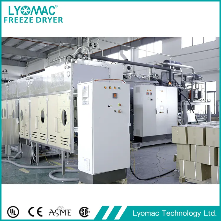 Tùy chỉnh được xác định lại: Cách Lyomac giải quyết các thách thức sản xuất dược phẩm độc đáo