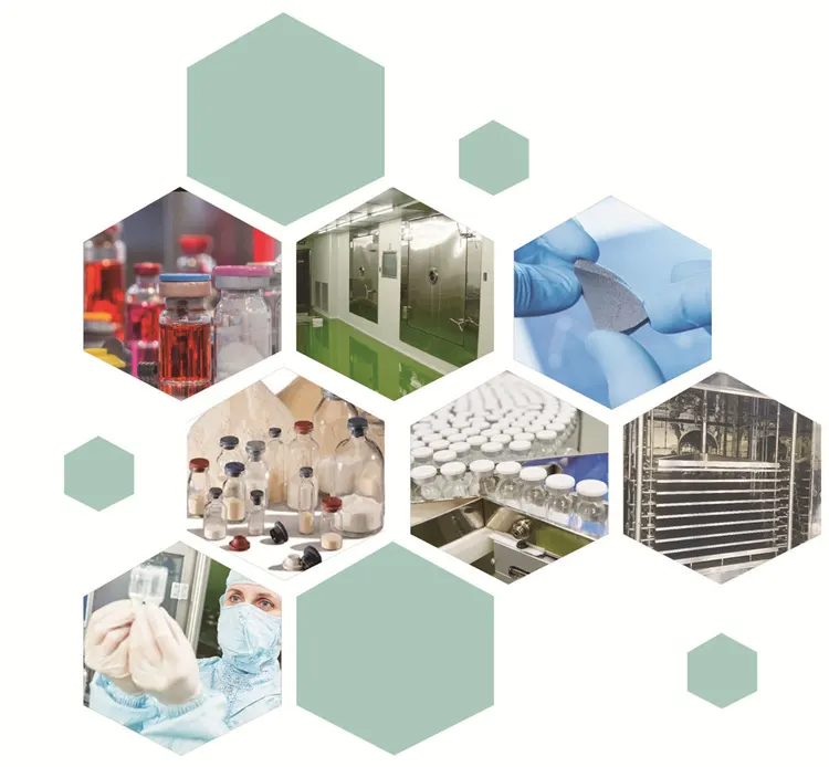 Tính bền vững trong dược phẩm: Giải pháp sấy đông lạnh thân thiện với môi trường của Lyomac