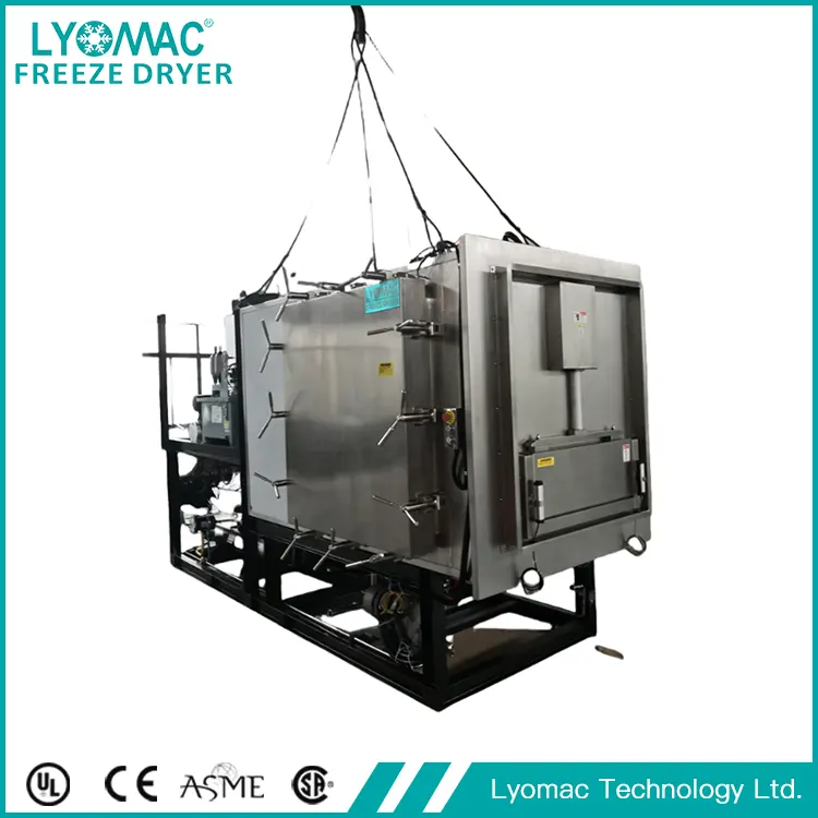 Hệ thống tùy chọn của Lyomac: Nâng cao chức năng sấy đông từ chức năng lên đặc biệt