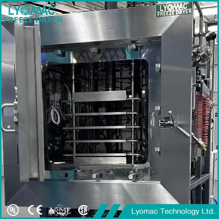 Kỹ thuật chưa từng có: Tại sao máy sấy chân không LYOMAC cạnh tranh với các thương hiệu toàn cầu hàng đầu