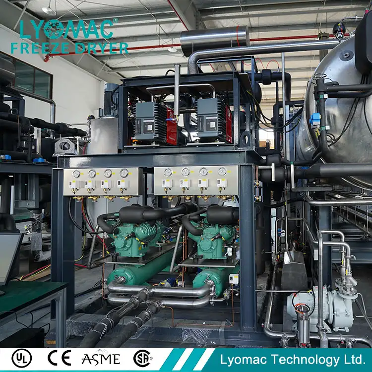 Máy sấy đông lạnh vắc xin bệnh dại